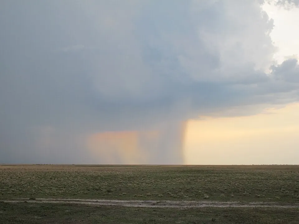 Liuwa Plain National Park 06.jpg
