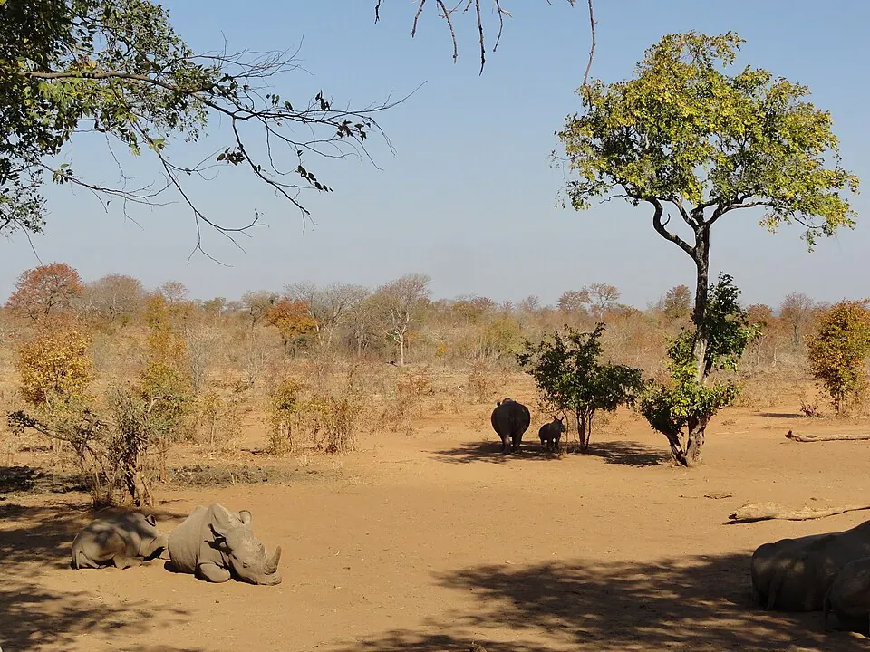 Mosi-oa-Tunya National Park Game Drive